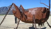 PICTURES/Borrego Springs Sculptures - Bugs, Cats & Birds/t_IMG_8788.JPG